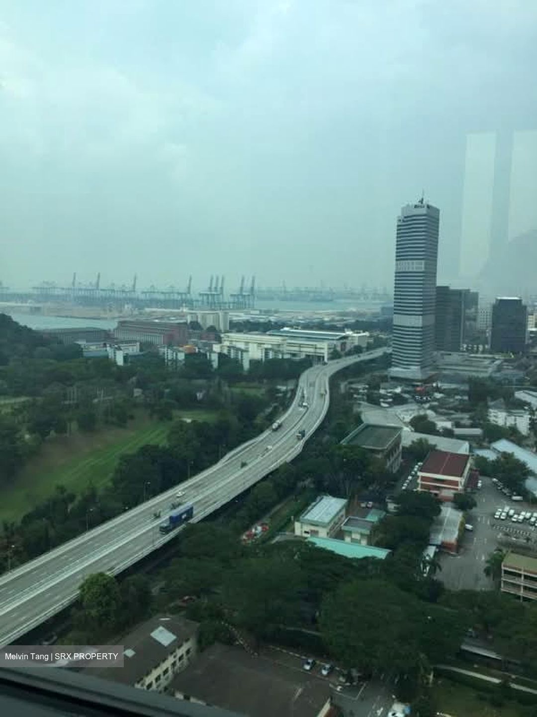 Skyline Residences (D4), Condominium #584969741
